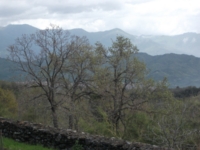 fugio monte Crisimo201100501 147
